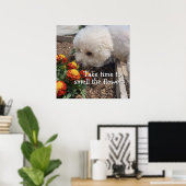 Ruik de Bloemen Poster (Thuiskantoor)