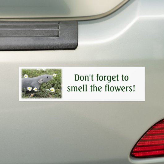 Ruik de Bumpersticker Flowers (Op auto)