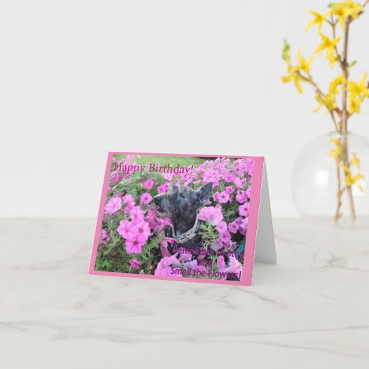 Ruik de Kaart van de bloemen (Gele Bloem)