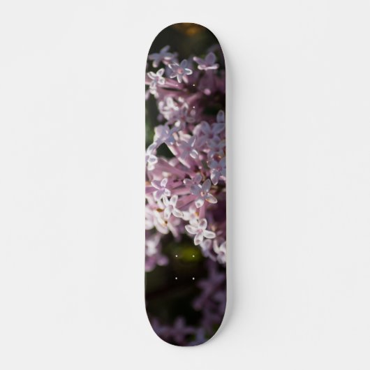 Ruik die Sering Skateboard (Voorkant)