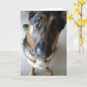 Ruik ik ik taart?  Verblijfswensen... Kaart (Gele Bloem)