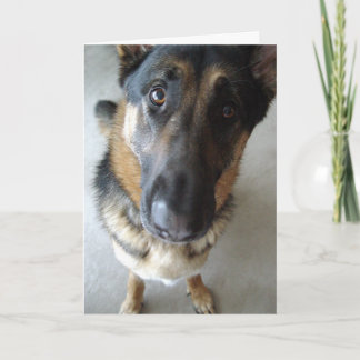 Ruik ik ik taart? Verblijfswensen... Kaart