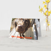 Ruik ik taart? Leuke verjaardag Kaart voor Hondenl (Gele Bloem)