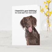 Ruik ik taart? Mag ik wat? (GWP) - Verjaardag Kaart (Gele Bloem)