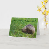 Ruik ik verjaardagstaart? kaart (Gele Bloem)