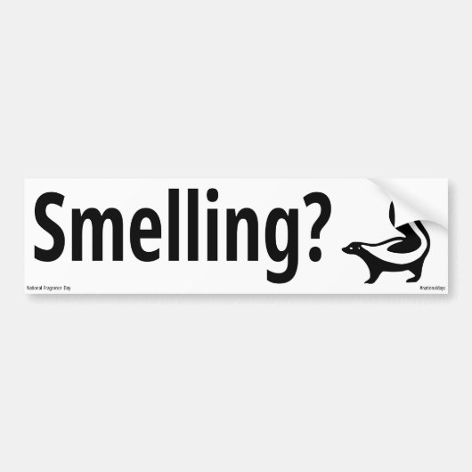 Ruiken? Bumpersticker (Voorkant)