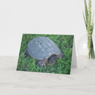 Ruim 70 miljoen jaar jarig bestaan kaart