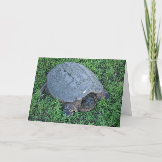 Ruim 70 miljoen jaar jarig bestaan kaart (Voorkant)