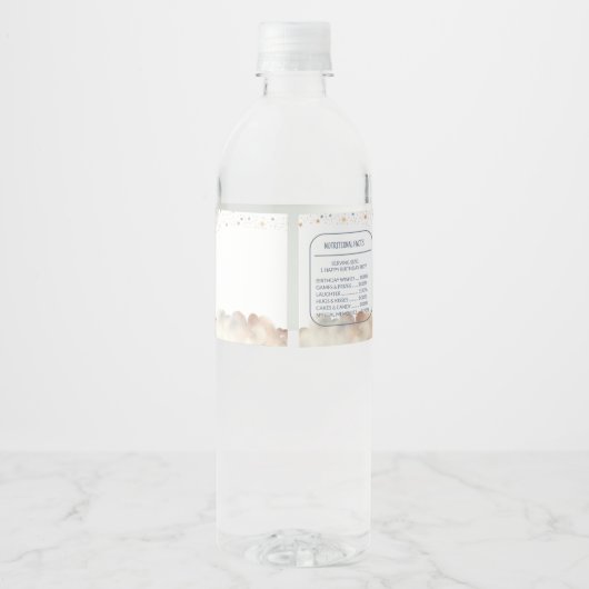 Ruimte eerste reis rond de zon verjaardagsfeestje waterfles etiket (Achterkant)