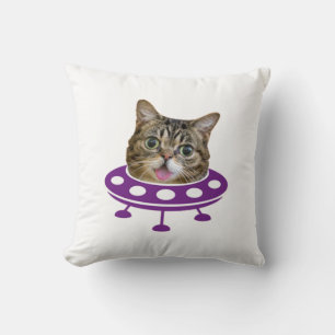Ruimte Kat Kussen