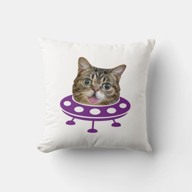 Ruimte Kat Kussen (Voorkant)