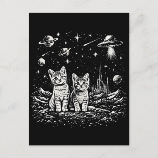 Ruimte Kittens Katten in de Kosmos Briefkaart (Voorkant)