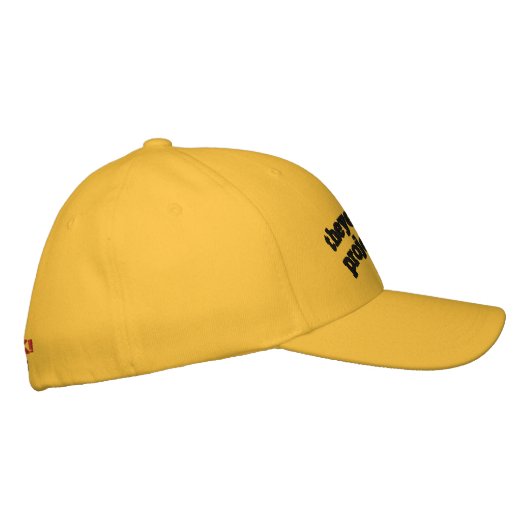 ruimte-Pet Geborduurde Pet (Rechts)