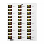 Ruimte Vuurwerk Etiket (Full Sheet)