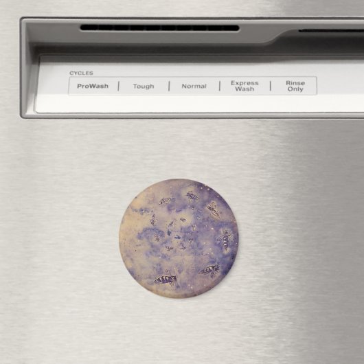 Ruimtebijenmagneet Magneet (Insitu (Vaatwasser))