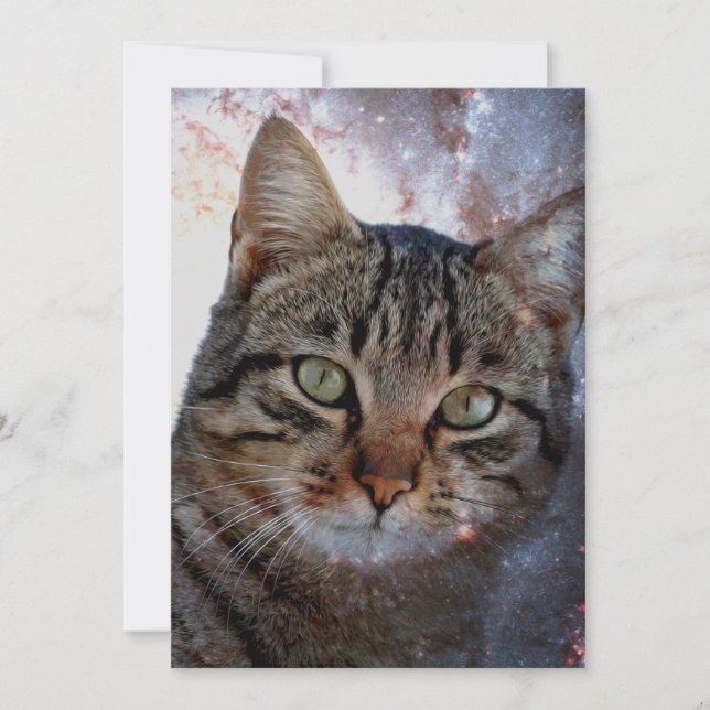 Ruimtecat (Voorkant)
