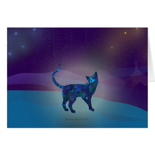 Ruimtecat 1 (Voorkant Horizontaal)