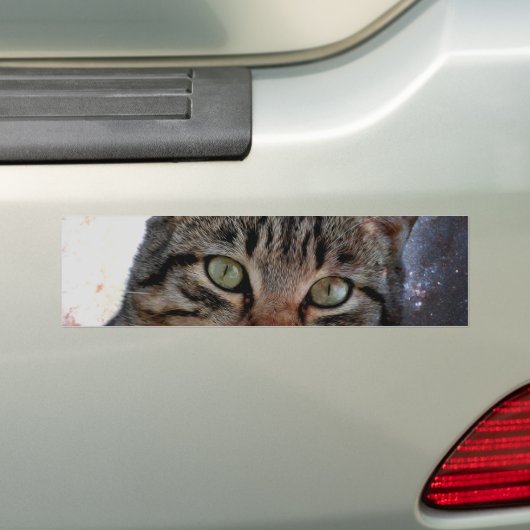 Ruimtecat Bumpersticker (Op auto)