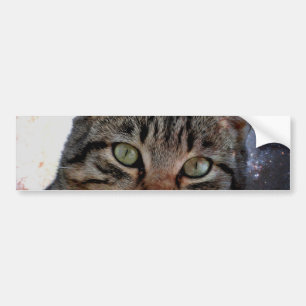 Ruimtecat Bumpersticker