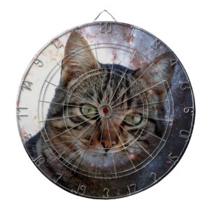 Ruimtecat Dartbord