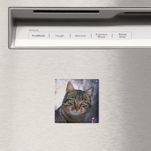 Ruimtecat Magneet (Insitu (Vaatwasser))