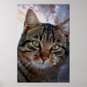 Ruimtecat Poster (Voorkant)