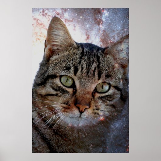 Ruimtecat Poster (Voorkant)