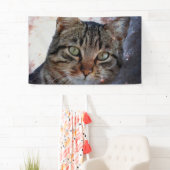 Ruimtecat Spandoek (Insitu)