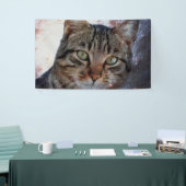 Ruimtecat Spandoek (Beurs)