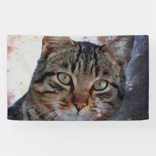 Ruimtecat Spandoek (Horizontaal)