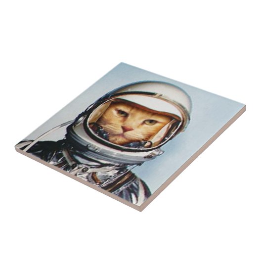 Ruimtecat Tegeltje (Zijkant)