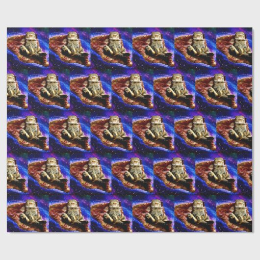 Ruimtekat ligt op een pizza cadeaupapier (Vlak)