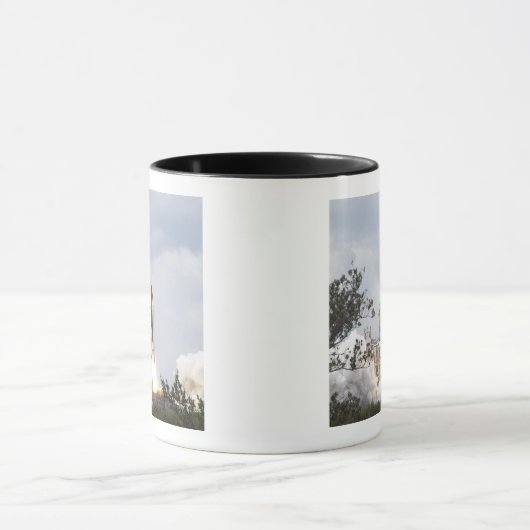 Ruimtesluiting Atlantis liften van 3 Mok (Midden)