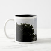 Ruimtesluiting Endeavor liften uit 3 Tweekleurige Koffiemok (Links)