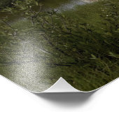 Ruimtesluiting Endeavor tilt uit 4 Foto Afdruk (Hoek)