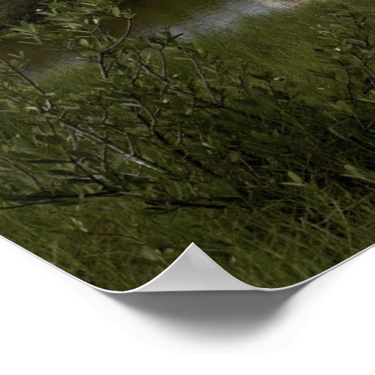 Ruimtesluiting Endeavor tilt uit 4 Poster (Hoek)