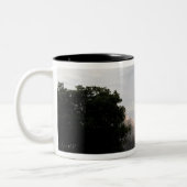 Ruimtesluiting Endeavor tilt uit 4 Tweekleurige Koffiemok (Links)