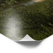 Ruimtesluiting Endeavor tilt uit 5 Foto Afdruk (Hoek)