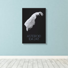 Ruimtevaart, zonnestelsel, asteroïdengordel, IDA 2 Canvas Afdruk