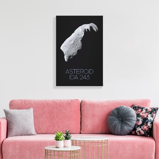 Ruimtevaart, zonnestelsel, asteroïdengordel, IDA 2 Canvas Afdruk (Insitu (Woonkamer))