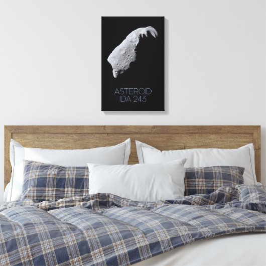 Ruimtevaart, zonnestelsel, asteroïdengordel, IDA 2 Canvas Afdruk (Insitu (Slaapkamer))