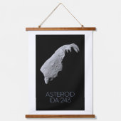 Ruimtevaart, zonnestelsel, asteroïdengordel, IDA 2 Hangend Wandkleed (Voorkant)