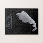 Ruimtevaart, zonnestelsel, asteroïdengordel, IDA 2 Legpuzzel (Horizontaal)