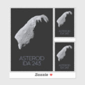 Ruimtevaart, zonnestelsel, asteroïdengordel, IDA 2 Sticker (Vel)