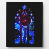 Ruimtevenster in de nationale kathedraal van Washi Fotoplaat (Voorkant)