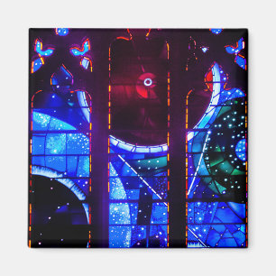 Ruimtevenster in de nationale kathedraal van Washi Magneet