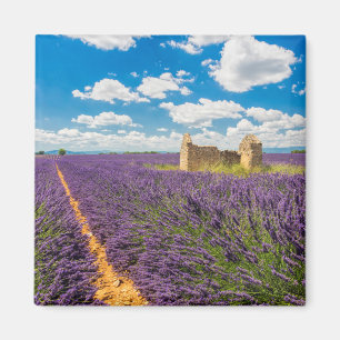 Ruin in Lavender Field, Frankrijk Magneet