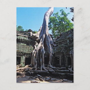 Ruin van Ta Prohm - Angkor Wat, Cambodja, Azië Briefkaart