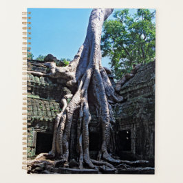 Ruin van Ta Prohm - Angkor Wat, Cambodja, Azië Planner