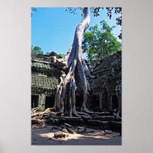 Ruin van Ta Prohm - Angkor Wat, Cambodja, Azië Poster